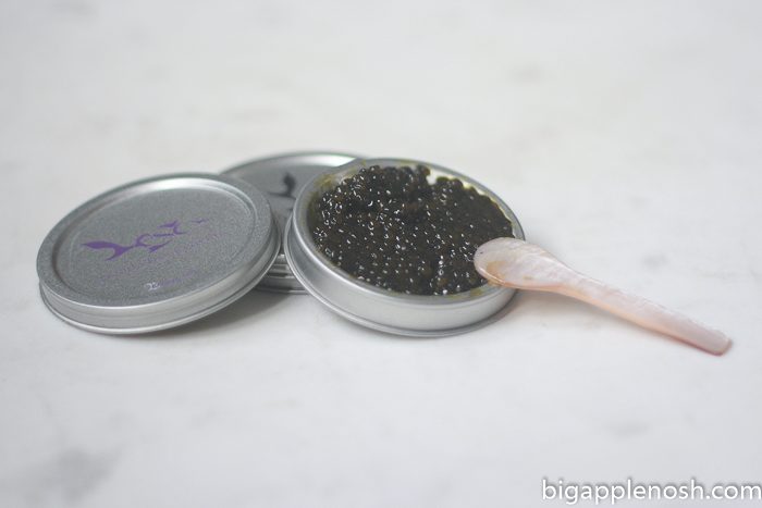 pearl-street-caviar-5-5149584